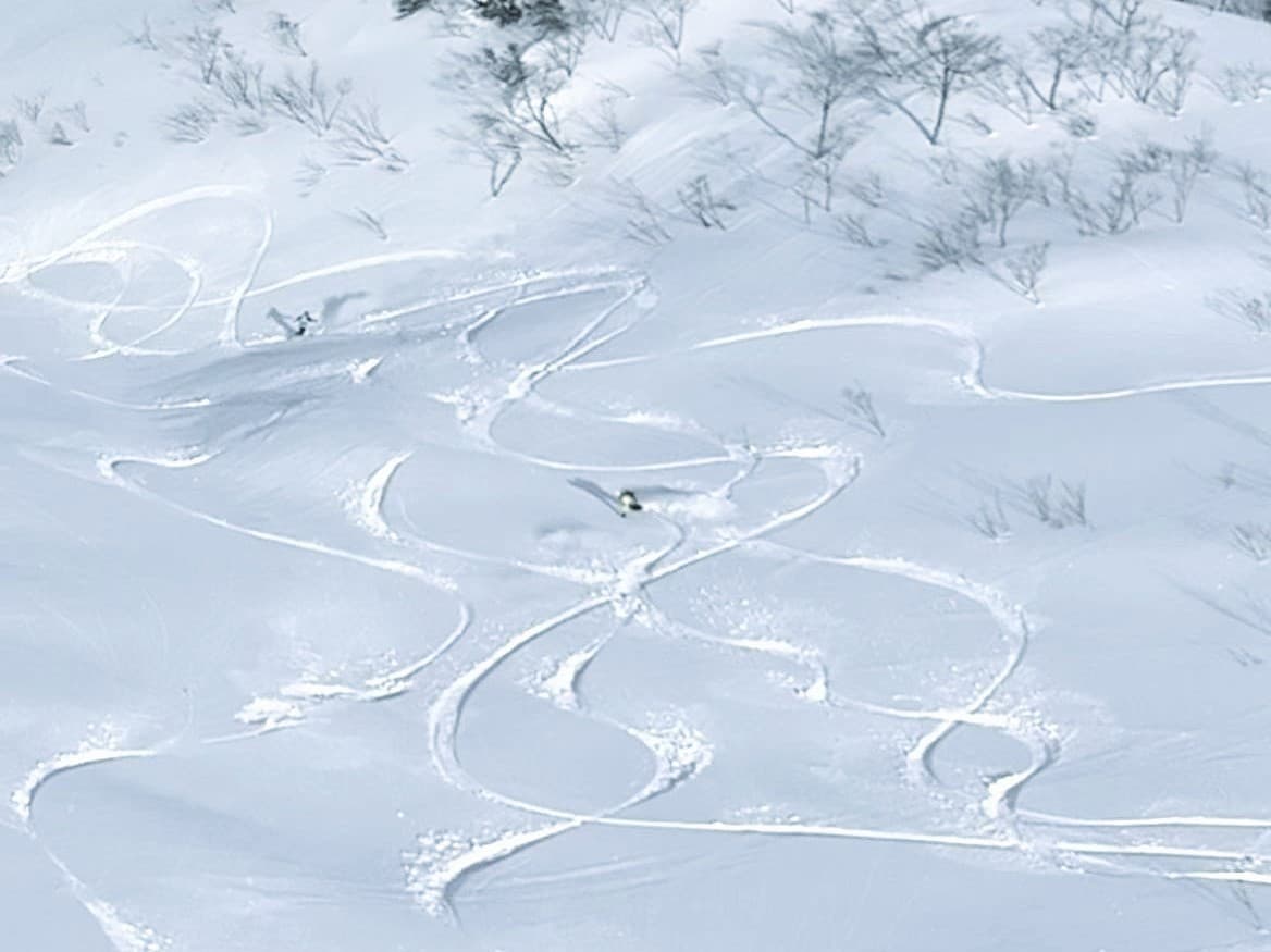 Guided skiing